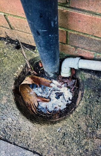 https://plumbermorley.com.au/uploads/2025/06/blocked-drains-294506.jpg